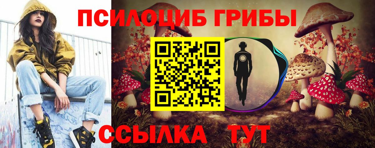 Галлюциногенные грибы Psilocybe Верхняя Пышма