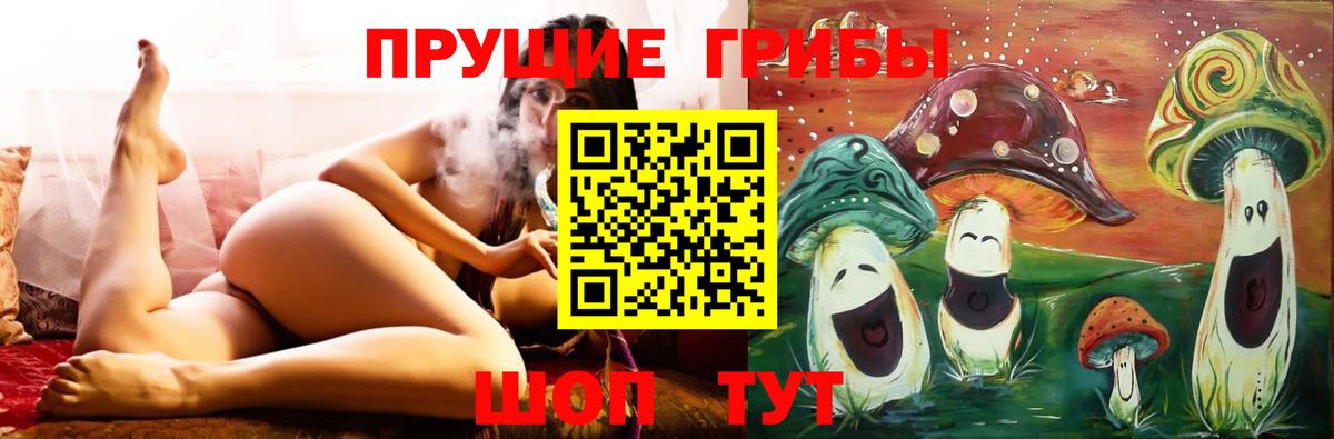 Верхняя Пышма  Псилоцибиновые грибы GOLDEN TEACHER  Вход с VPN 